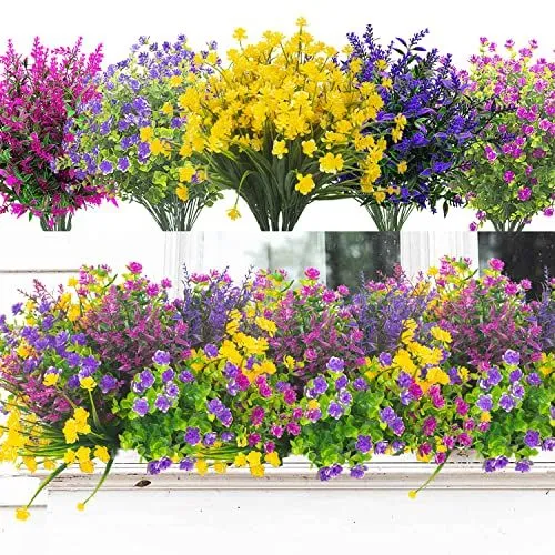 Grunyia Meadow Mix