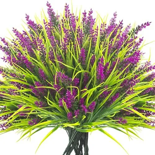 Grunyia Flowering Monkey Grass – Fuchsia