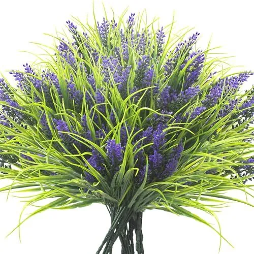 Grunyia Flowering Monkey Grass – Purple