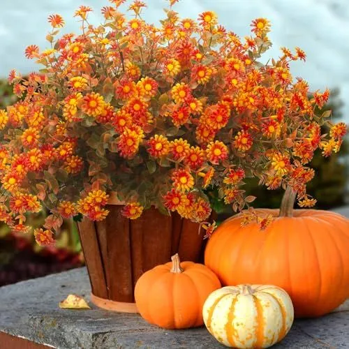 Grunyia Fall Boxwood Flowers – Fall Red