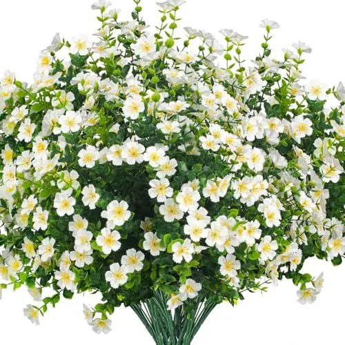 Grunyia Star-Flower Bush – White