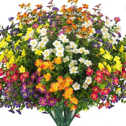 Grunyia Star-Flower Bush – Mix