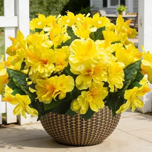 Grunyia Silk Hibiscus – Yellow