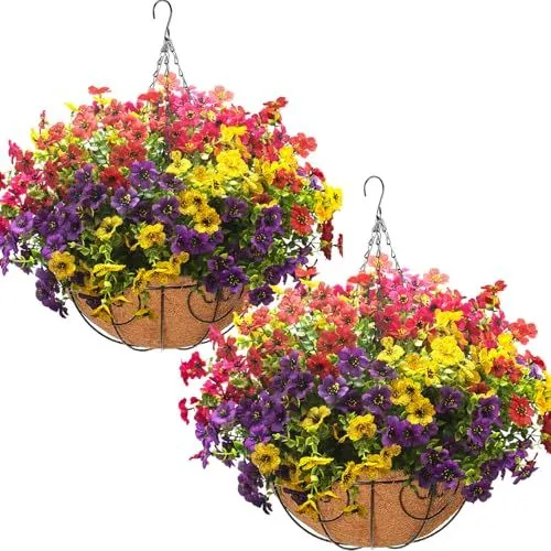 Grunyia Daisy & Eucalyptus Hanging Basket – Spring