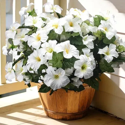 Grunyia Large-Bloom Petunias – White