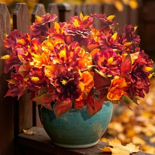 Grunyia Fall Dahlias – Orange Red
