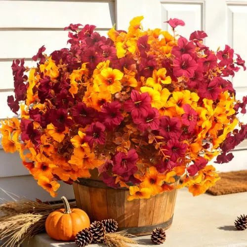 Grunyia Fall Petunias – Fall Yellow & Wine Red