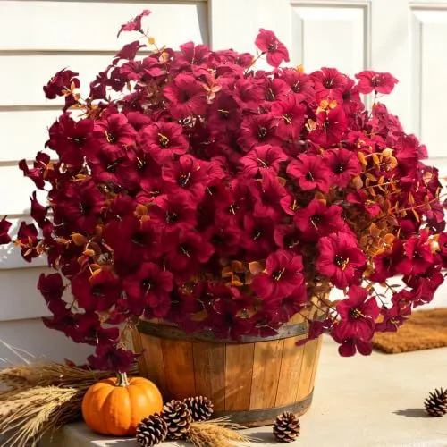 Grunyia Fall Petunias