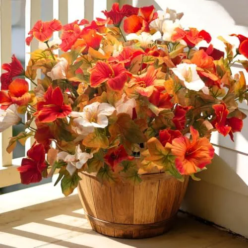 Grunyia Large-Bloom Petunias – Fall Orange White